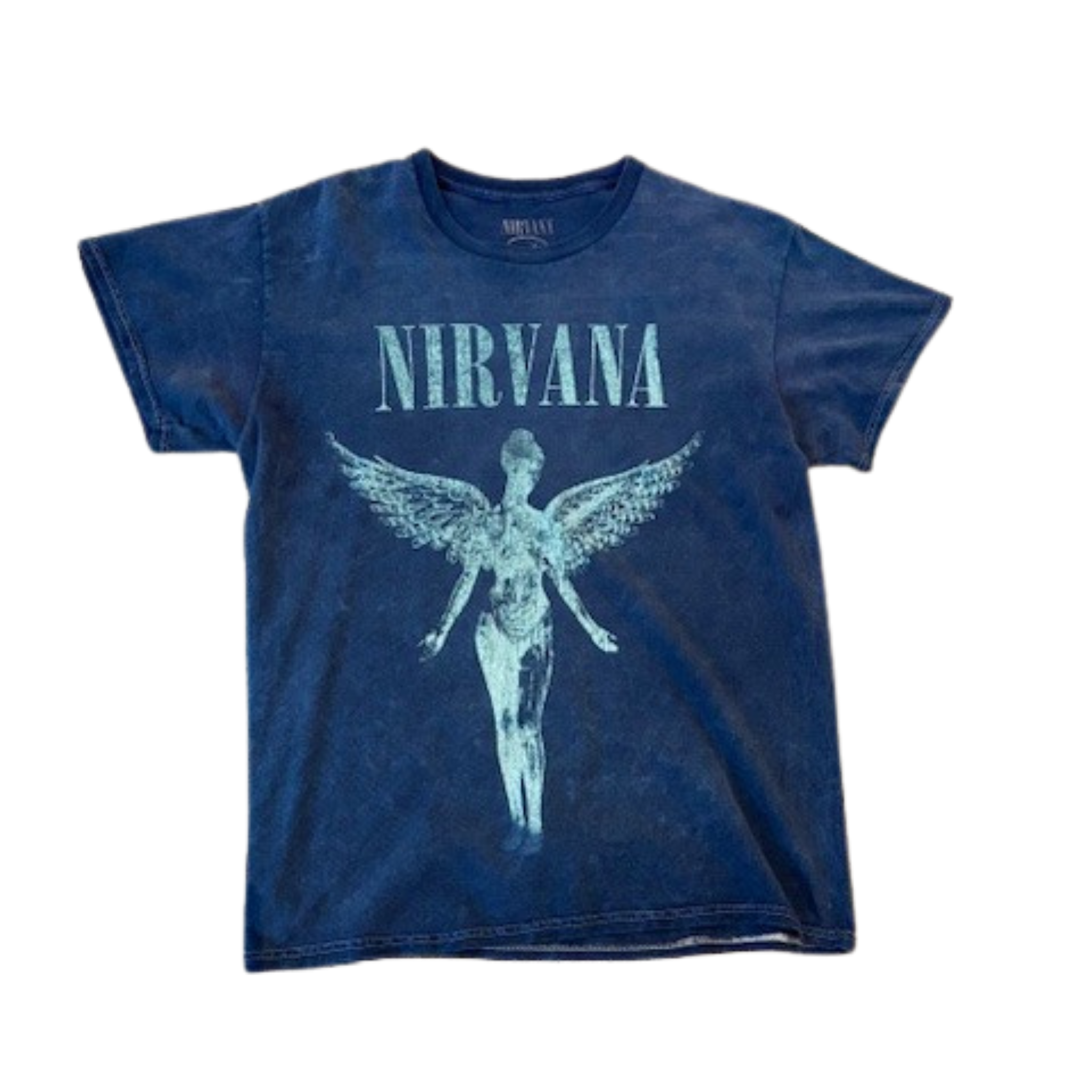 Nirvana Blue Angel Vintage Tee